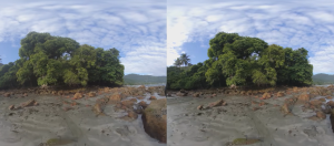 Atributos de Qualidade Ambiental